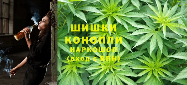 прущая мука Болотное