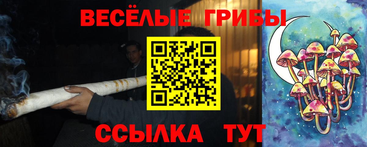 Псилоцибиновые грибы Psilocybine cubensis Краснокамск