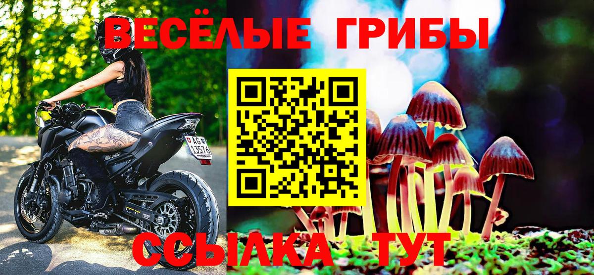 Галлюциногенные грибы GOLDEN TEACHER  Краснокамск 