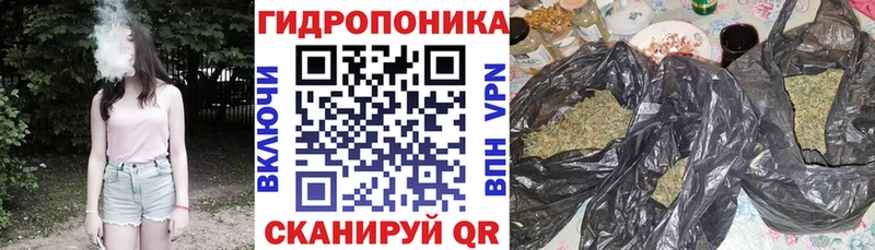 Канабис White Widow Краснокамск